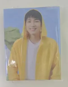 SEVENTEENTH HEAVEN CARAT盤 ウォヌ