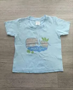 Printstar キッズ Tシャツ 100cm ライトブルーのサムネイル