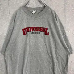ユニバーサルスタジオ　刺繍ロゴ　グレー　ビックサイズTシャツ　2XL