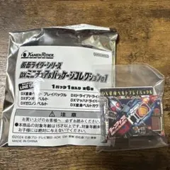 仮面ライダーシリーズ DXミニチュア＆パッケージコレクション01
