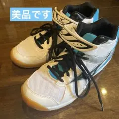 一点物美品！ Mizuno バレーボールシューズ ハイカット
