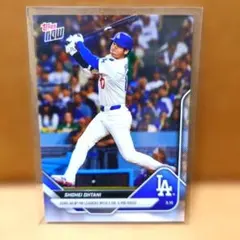 大谷翔平/2025年/1試合2打席連続ホームラン