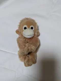 Coco ココ　マグネット　ぬいぐるみ