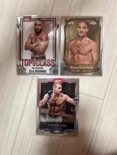 UFC カード　ショーン　ストリックランド