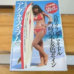 アグネス・ラムグラビア切り抜き