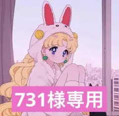 F⭐︎さん専用出品 st sz様専用 充電器 - メルカリ
