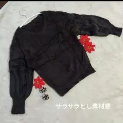 NICE CLAUP ブラウン Vネックニット フリーサイズ