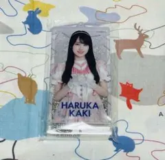 2026年最新】乃木坂 福袋 2025 賀喜遥香の人気アイテム - メルカリ