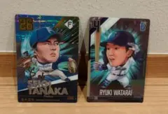 Item thumbnail for item 9a989aef-9b6e-44f3-ac54-d2294d834245