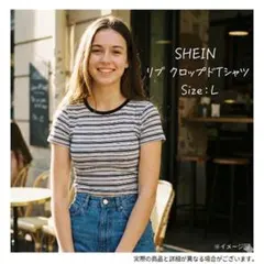 SHEIN ストライプ 半袖Tシャツ 39cm着丈34cm肩幅 Lサイズ