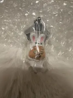 SKZOO つまんでつなげてますこっと　ハンクォッカ　ガチャ