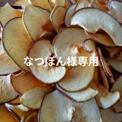 なつぽん様専用 長野県産 サンふじ りんごチップス&干し柿