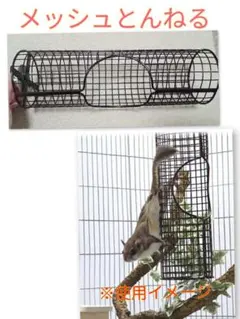 Item thumbnail for item c3ec1ed2-d4f2-4203-aa98-4c710dd30b2f