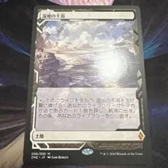 湿地の干潟 JP ボーダーレス エクスペディション ZNE