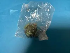 一番くじ機動戦士ガンダム ジークアクスD賞モビルスーツ ヘッドマグネット ザク