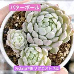 ꕤclara*様 リクエスト 7点 まとめ商品