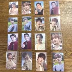 SEVENTEEN 来場者限定 ウォヌ フルコンプ 16 枚 セット