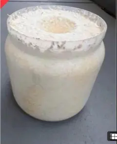 Item thumbnail for item e49d9e49-0453-4979-8dd7-46548079182c