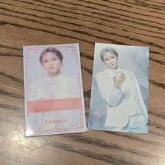 キャッテリア ソマリ 2点