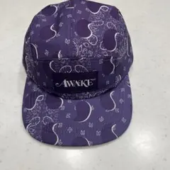 Item thumbnail for item 3f649ae3-b613-4d3b-91f5-9471c0dcd148