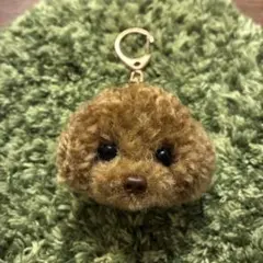 うるうるトイプードル　毛糸キーホルダーぬいぐるみマスコット薄茶色レッドペットロス