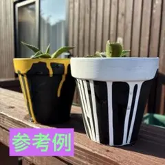 手作り鉢　アガベ　塊根植物　多肉植物　リメイク鉢　3個セットのサムネイル