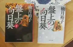 Item thumbnail for item f5641c19-7570-4268-b101-e223aed208cf