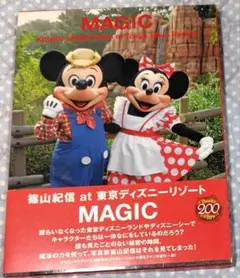 【新品未開封】TDL30周年 篠山紀信 ディズニー 額縁入り大判写真 ディズニー 篠山紀信 写真 30周年 2枚セット ミッキー ミニー - メルカリ