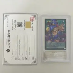 ポケモンカード ARS10+Nの筋書き SAR 鑑定書付き - メルカリ