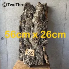 barber'splants様 リクエスト 2点 まとめ商品