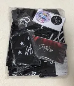 straykids 5star アプグレ 特典 グッズ セット 新品未使用