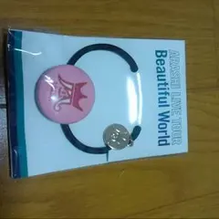 嵐 コンサートグッズ