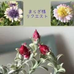 まらぎ様　リクエスト　おまとめ3点