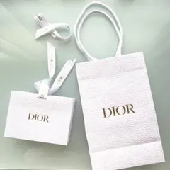 DIOR クリスチャンディオール ショッパー ギフトバッグ ２枚セット 美品