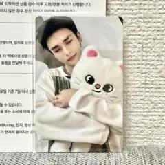 straykids celebrate TINCASEトレカのみ　ヒョンジン