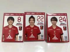 浦和レッズレディース 藤崎智子 プレイヤーズカード - メルカリ