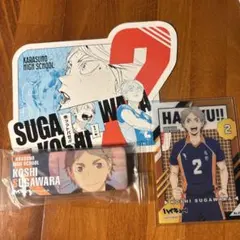 ハイキュー　菅原 孝支　まとめ　3点セット