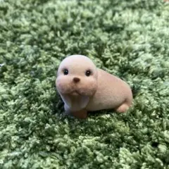 2026年最新】CENTEXの人気アイテム - メルカリ