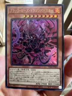 ブラック・ローズ・ドラゴン/バスター