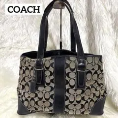 コーチ トートバッグ シグネチャー キャリーオール キャンバスレザー