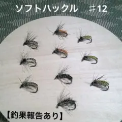 Item thumbnail for item c3110c6c-1148-42f2-b919-78b4c191a87d