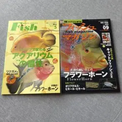 月刊フィッシュマガジン 2冊セット フラワーホーン特集