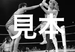 全日本女子プロレス写真