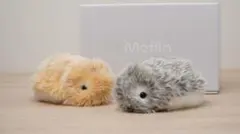 Moflin モフリン AIペットロボット シルバー用ファー
