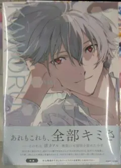 KAWORU INFINITY∞ 渚カヲル写真集2 メロンブックス特典付き - メルカリ