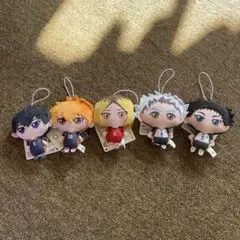 ぬいぐるみちゃーむ　ハイキュー　日向　影山　木兎　赤葦　研磨　マスコット