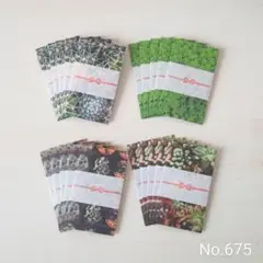 ポチ袋 ☆のし付き☆ 20枚セット ボタニカル ②