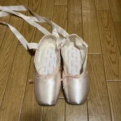 ほぼ新品　試着一回のみ シルビアトゥシューズフロリナ III 24Dのサムネイル