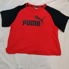 PUMA 半袖Tシャツ レッド/ブラック