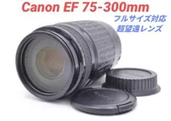 7月15日限定特価【超望遠レンズ】Canon EF 75-300mm Ⅱ - メルカリ